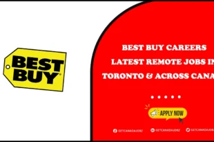Best Buy Careers