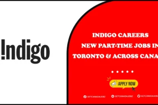 Indigo Careers